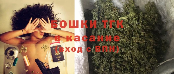 гидра Протвино