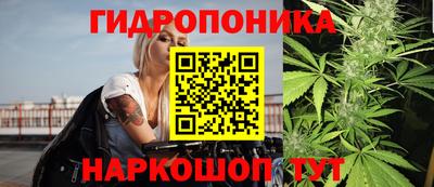 мдма Можга